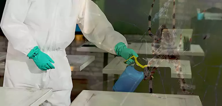 Why Buyers Still Want Homes With Pest Infestations in Louisville, KY?