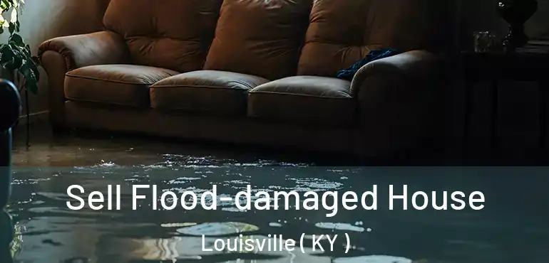  Sell Flood-damaged House Louisville ( KY )